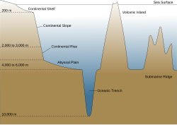 Oceanic basin.svg