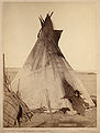 A young Oglala girl sitting in front of a tipi, with a puppy beside her, probably on or near Pine Ridge Reservation (1891, LC-DIG-ppmsc-02515)