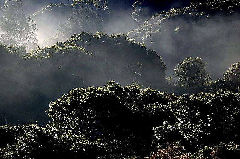 File:Our Land South of Morro Bay. (730216632).jpg