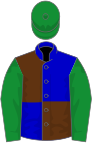 Blue and brown (quartered), green sleeves and cap