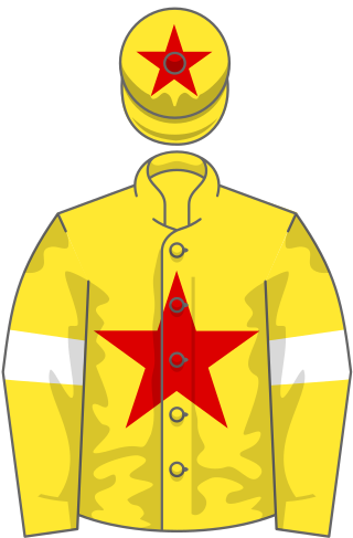 <span class="mw-page-title-main">One Man (horse)</span> British-bred Thoroughbred racehorse