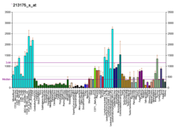 PBB GE SNRPB 213175 s at fs.png