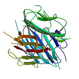 PBB Protein ADIPOQ image.jpg