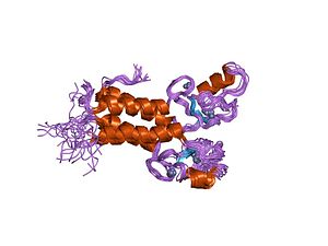 PDB 1jm7 EBI.jpg