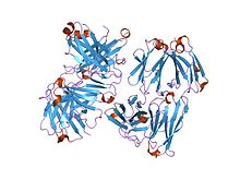 PDB 8fab EBI.jpg 