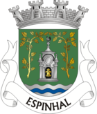 Espinhal coat of arms