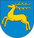 Kozienice coat of arms