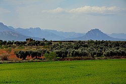 Paisatge de la Terra Alta, Tarragona.jpg