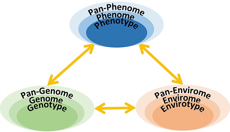 File:Pan Y G E.jpg