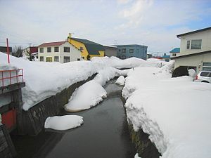 パンケチュウベシナイ川 2005年3月20日撮影