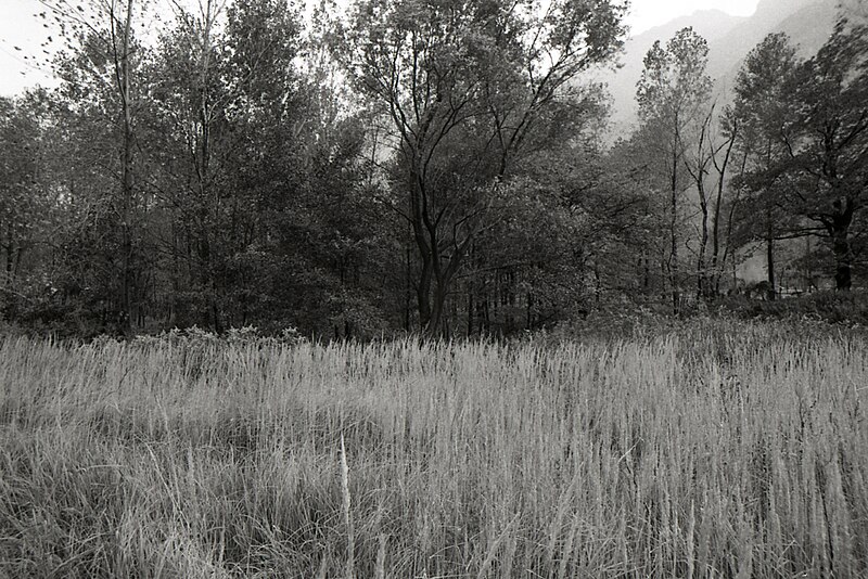 File:Paolo Monti - Serie fotografica (Anzola d'Ossola, 1970) - BEIC 6358110.jpg