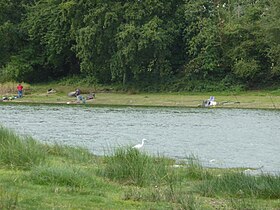 Illustrasjonsbilde av artikkelen Étang de Châtillon-en-Vendelais