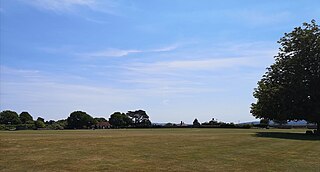 <span class="mw-page-title-main">Petworth Park New Ground</span>