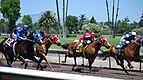 Quarter horse racing at the Alameda County Fair in Pleasanton