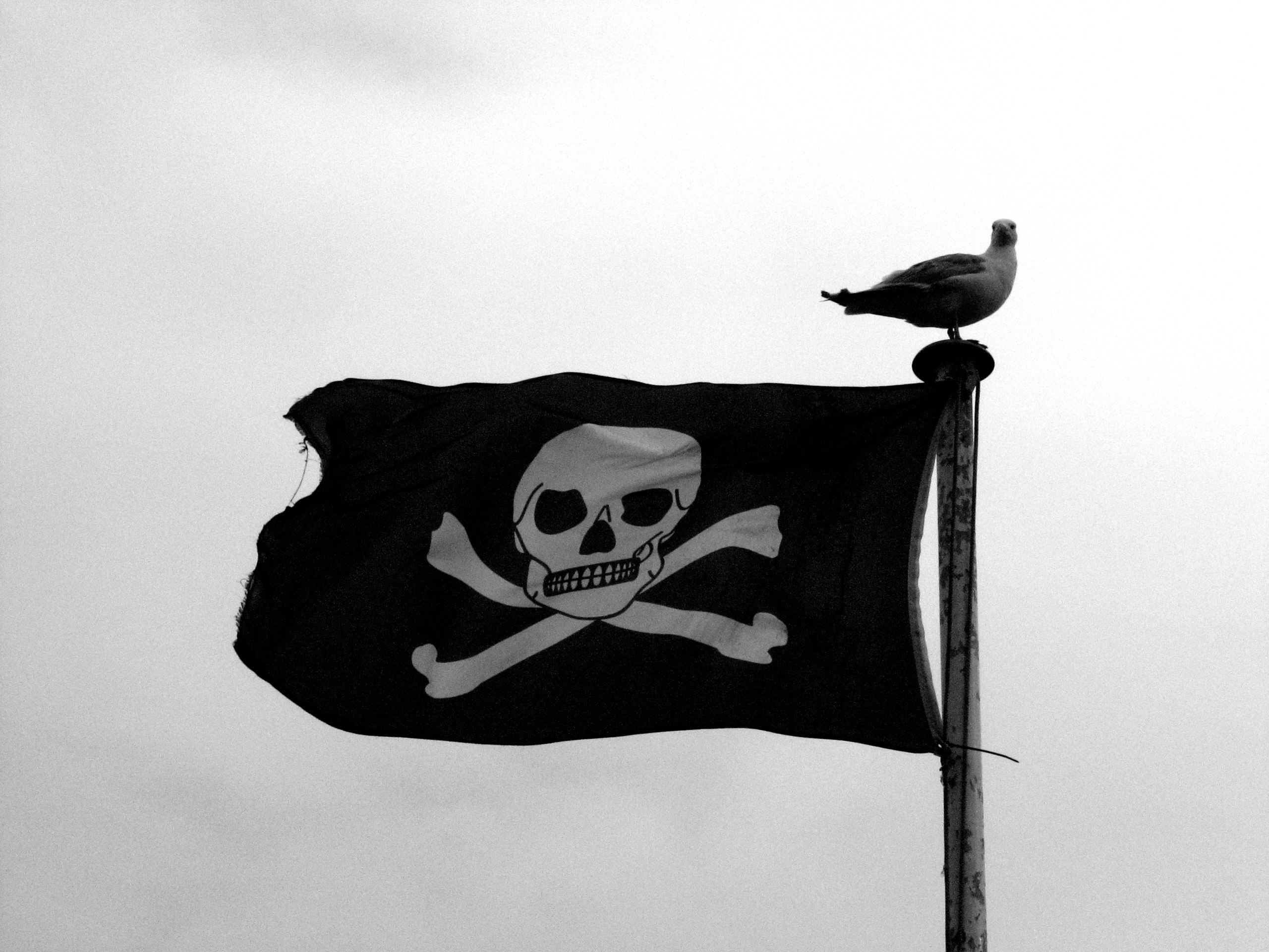 Pirate Flag on GIFs, Jolly Roger - 25 Best Animated Images for