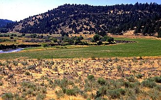 The Pit River before it enters the canyons west of Canby, Modoc County Pit River Valley.jpg