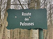 Plaque Route Pelouses - Paris XII (FR75) - 2021-01-21 - 1.jpg