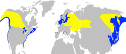 Podiceps grisegena -range map-2c.png