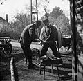 Podkovanje konja, kovač Pucelj, Martinja vas 1951.jpg