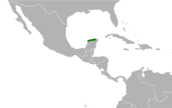 Distribución geográfica de la perlita de Yucatán.