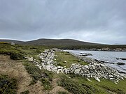 Port Egmont Settlement at Coast.jpg