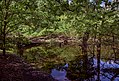 * Nomination A photograph of the Postfenn swamp.I, the copyright holder of this work, hereby publish it under the following license:This image was uploaded as part of Wiki Loves Earth 2018. By User:Alorin --Shisma 20:41, 22 May 2018 (UTC) * Decline The filename should be better and there are strong CAs. --XRay 04:37, 31 May 2018 (UTC)  Oppose  Not done in three days --Daniel Case 02:11, 3 June 2018 (UTC)