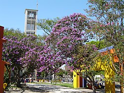 Skyline of Sapiranga