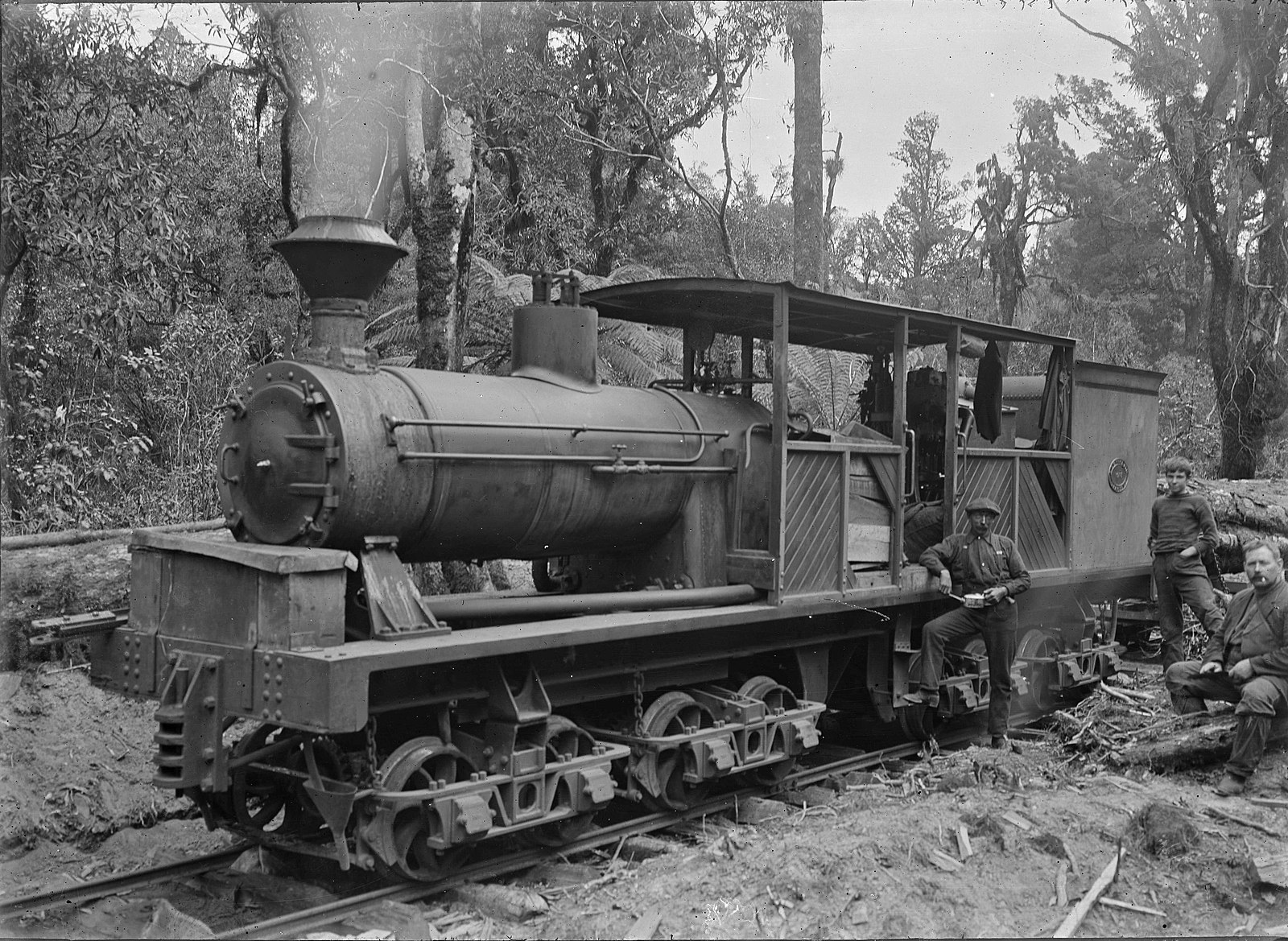 Steam logging in фото 47