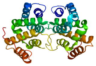 GGA2 Protein-coding gene in the species Homo sapiens