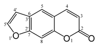 Pienoiskuva sivulle Furanokumariinit