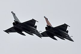 Dassault Rafale, Bastille Day 2020 military parade in Paris