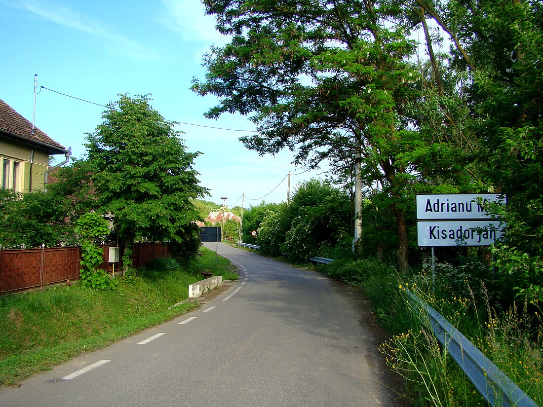 Adrianu Mic, Mureș