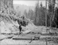 Railroad tracks under construction in Cedar River Watershed, 1930 (42757186151).gif