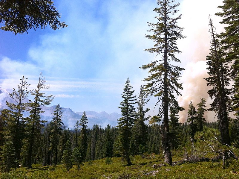 File:Reading fire 2012 - From Cluster Lakes Loop.jpg