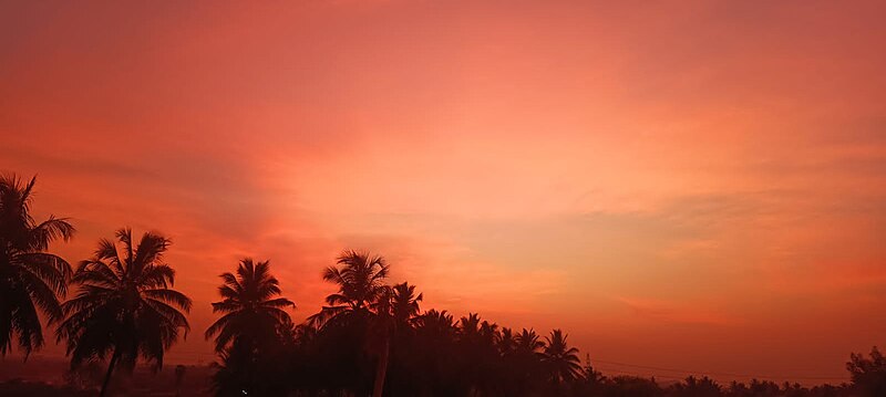 File:Red sky view.jpg