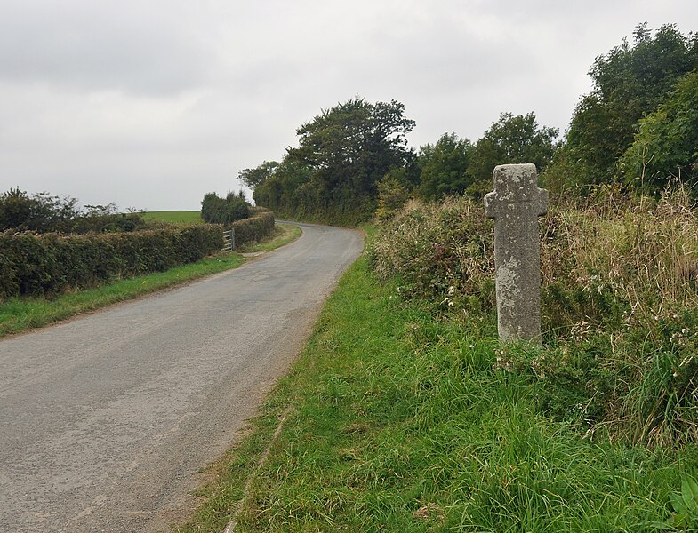 File:Ringhole Copse Cross.jpg