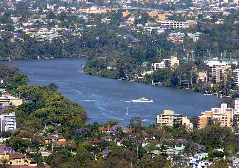 File:RiverCat and Jacaranda trees from Mt Coot-Tha. - panoramio.jpg