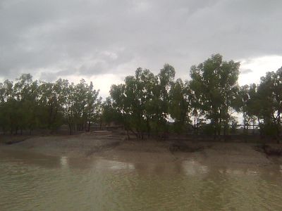 A river in Sundarbans