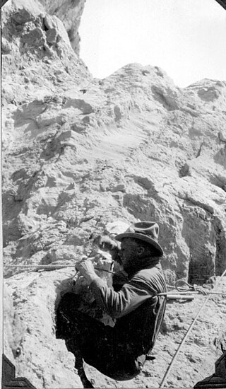 <span class="mw-page-title-main">Robert C. Thorne</span> American paleontologist