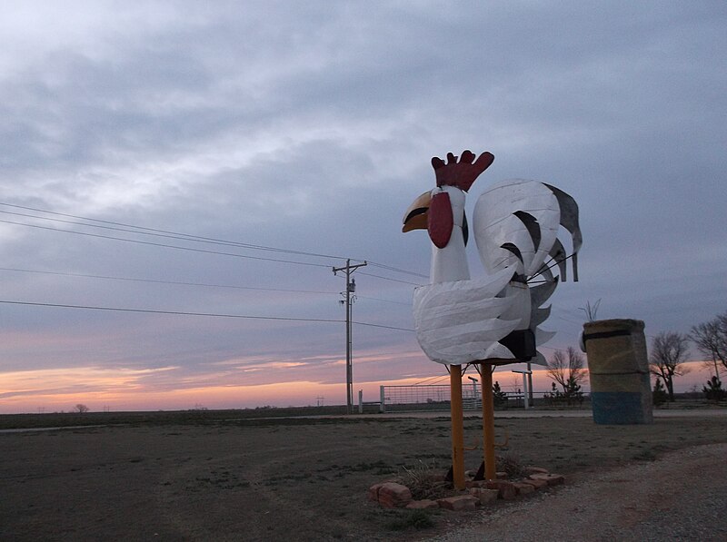 File:Rooster outside Covington at Sunrise.jpg