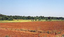 Roterde-Boden in Istrien