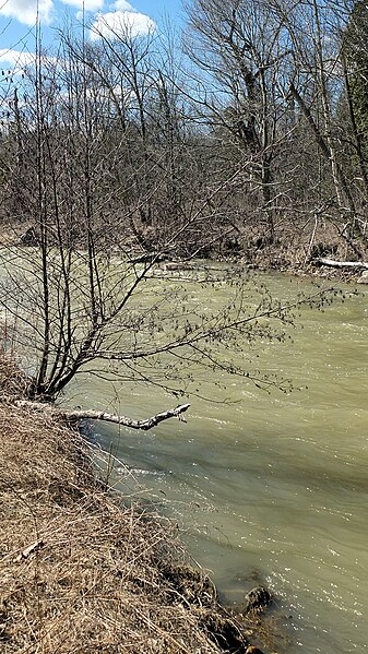 File:Rouge River (8601415651).jpg