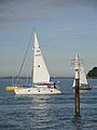 Yachts off Cowes Parade, Isle of Wight, participating in the "Round the Island Race" in 2011.