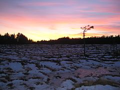 Søndre Kislebergmosen