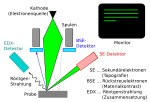 Neue Vektorgrafik