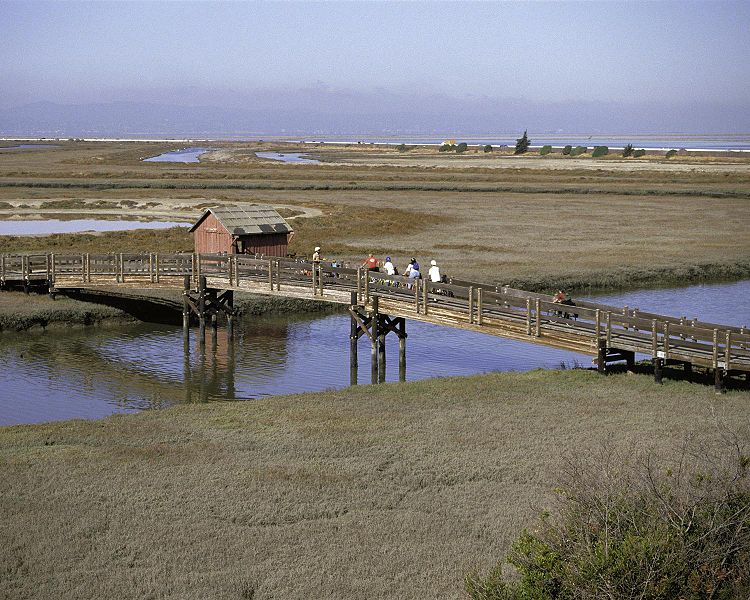 File:San Francisco Bay National Wildlife Refuge.jpg