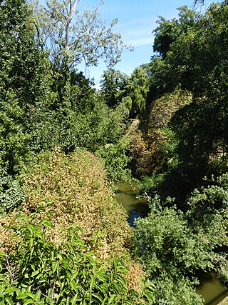 <span class="mw-page-title-main">San Lorenzo Creek</span> Creek in Hayward, California