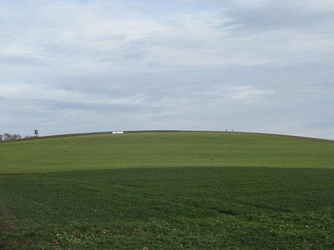 Schellberg (bei Trier)