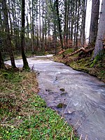 Schwarzenbach (Schlichem)