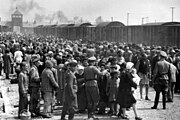 Trại Tập Trung Auschwitz